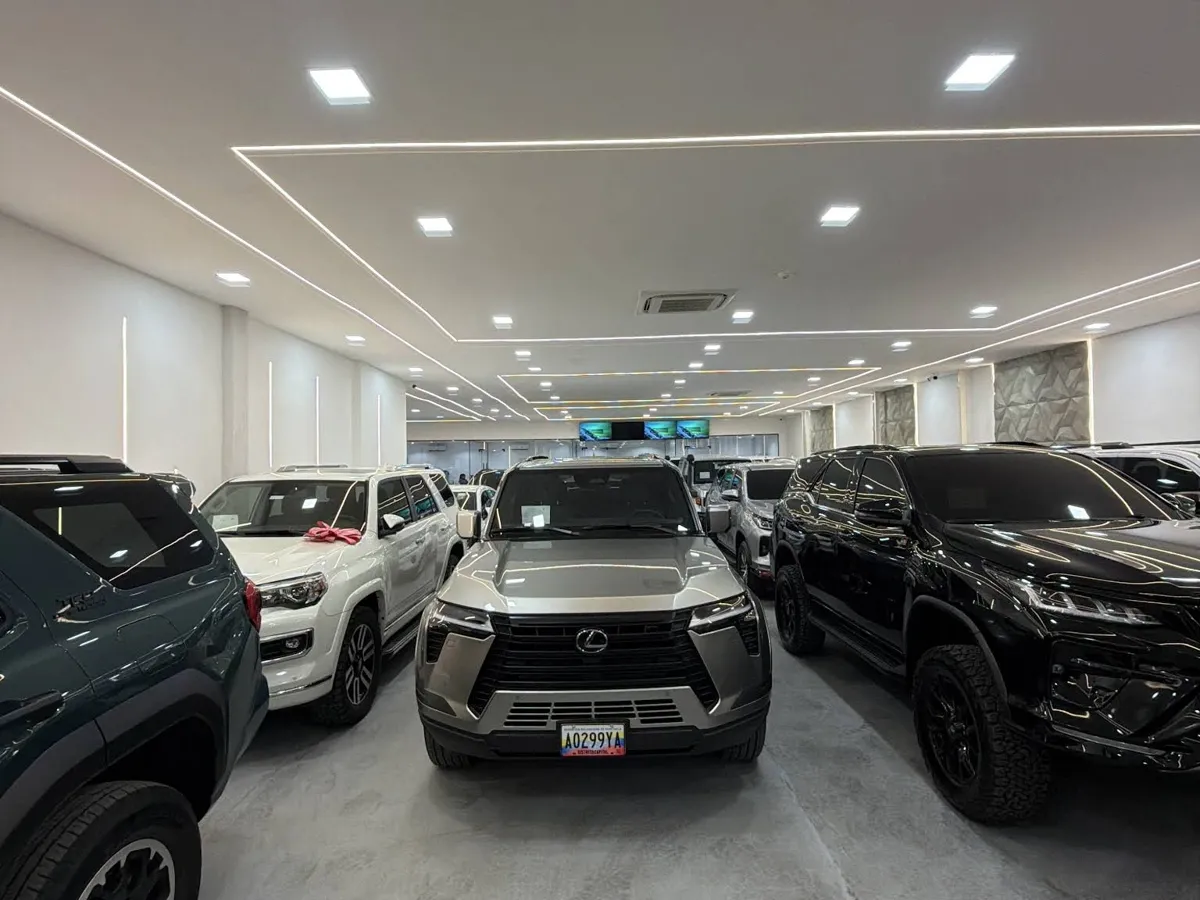 Más de 10 años de experiencia