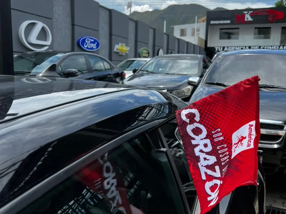 Más de 10 años de experiencia