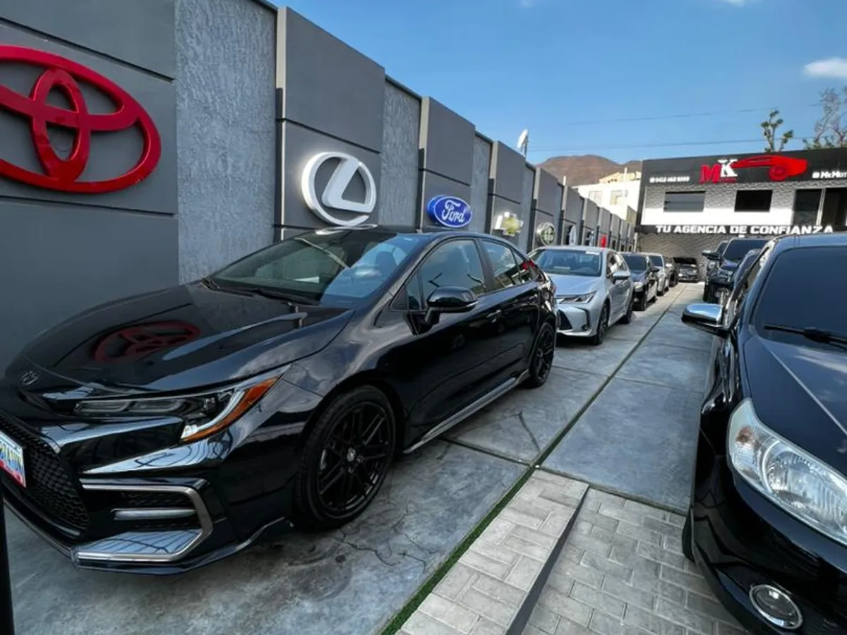 Más de 10 años de experiencia